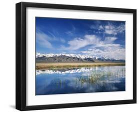 Ruby Mountains and Slough along Franklin Lake, UX Ranch, Great Basin, Nevada, USA-Scott T. Smith-Framed Premium Photographic Print