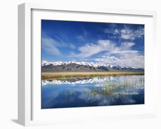 Ruby Mountains and Slough along Franklin Lake, UX Ranch, Great Basin, Nevada, USA-Scott T. Smith-Framed Premium Photographic Print