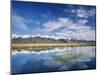 Ruby Mountains and Slough along Franklin Lake, UX Ranch, Great Basin, Nevada, USA-Scott T. Smith-Mounted Premium Photographic Print
