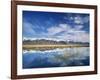 Ruby Mountains and Slough along Franklin Lake, UX Ranch, Great Basin, Nevada, USA-Scott T. Smith-Framed Photographic Print