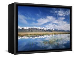 Ruby Mountains and Slough along Franklin Lake, UX Ranch, Great Basin, Nevada, USA-Scott T. Smith-Framed Stretched Canvas