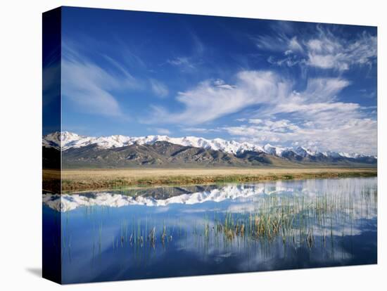 Ruby Mountains and Slough along Franklin Lake, UX Ranch, Great Basin, Nevada, USA-Scott T. Smith-Stretched Canvas