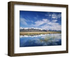 Ruby Mountains and Slough along Franklin Lake, UX Ranch, Great Basin, Nevada, USA-Scott T. Smith-Framed Photographic Print