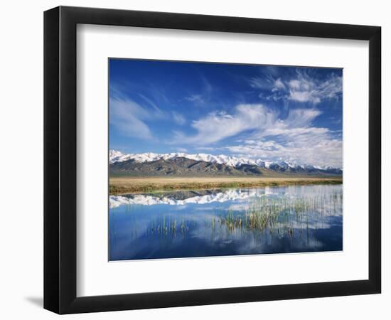 Ruby Mountains and Slough along Franklin Lake, UX Ranch, Great Basin, Nevada, USA-Scott T. Smith-Framed Photographic Print