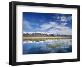 Ruby Mountains and Slough along Franklin Lake, UX Ranch, Great Basin, Nevada, USA-Scott T. Smith-Framed Photographic Print