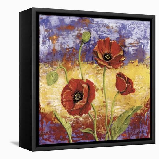 Ruby Red Poppies-Tina Chaden-Framed Stretched Canvas