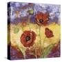 Ruby Red Poppies-Tina Chaden-Stretched Canvas