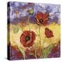 Ruby Red Poppies-Tina Chaden-Stretched Canvas