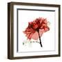 Ruby Rose 1-Albert Koetsier-Framed Art Print