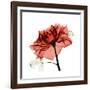 Ruby Rose 1-Albert Koetsier-Framed Art Print