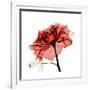 Ruby Rose 1-Albert Koetsier-Framed Premium Giclee Print