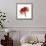 Ruby Rose 1-Albert Koetsier-Framed Premium Giclee Print displayed on a wall