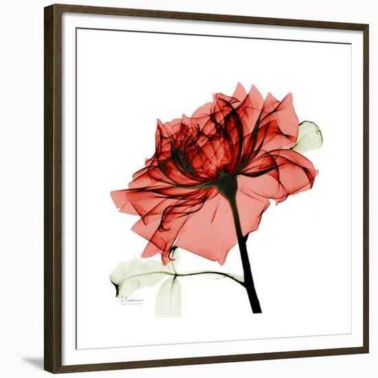 Ruby Rose 1-Albert Koetsier-Framed Premium Giclee Print