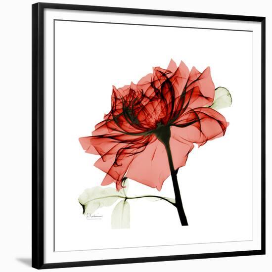 Ruby Rose 1-Albert Koetsier-Framed Premium Giclee Print