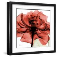 Ruby Rose 2-Albert Koetsier-Framed Art Print