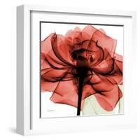 Ruby Rose 2-Albert Koetsier-Framed Art Print