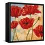 Ruby Slippers I-Maria Donovan-Framed Stretched Canvas