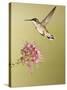 Ruby-Throated Hummingbird Feeding at Rocky Mountain Bee Plant Flower, South Texas, USA-Larry Ditto-Stretched Canvas