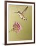 Ruby-Throated Hummingbird Feeding at Rocky Mountain Bee Plant Flower, South Texas, USA-Larry Ditto-Framed Photographic Print