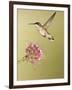 Ruby-Throated Hummingbird Feeding at Rocky Mountain Bee Plant Flower, South Texas, USA-Larry Ditto-Framed Photographic Print