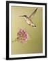 Ruby-Throated Hummingbird Feeding at Rocky Mountain Bee Plant Flower, South Texas, USA-Larry Ditto-Framed Photographic Print