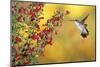 Ruby-Throated Hummingbird Female on Lady-In-Red Salvia, Shelby County, Illinois-Richard and Susan Day-Mounted Photographic Print
