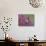 Ruby Throated Hummingbird, Kentucky, USA-Adam Jones-Photographic Print displayed on a wall