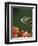 Ruby Throated Hummingbird, Male Flying, Texas, USA-Rolf Nussbaumer-Framed Premium Photographic Print