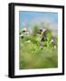 Ruby-throated Hummingbird male in flight feeding, Hill Country, Texas, USA-Rolf Nussbaumer-Framed Photographic Print