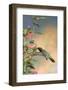 Ruby-Throated Hummingbird Male on Cigar Plant, Marion County, Illinois-Richard and Susan Day-Framed Photographic Print