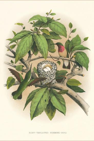 Art Print, , large