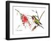 Ruby Throated Hummingbird-Suren Nersisyan-Framed Art Print