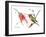 Ruby Throated Hummingbird-Suren Nersisyan-Framed Art Print