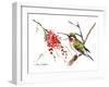Ruby Throated Hummingbird-Suren Nersisyan-Framed Art Print