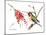 Ruby Throated Hummingbird-Suren Nersisyan-Mounted Art Print