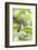 Ruby-Throated Hummingbird-Gary Carter-Framed Photographic Print