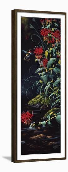 Ruby Throated Hummingbird-Wilhelm Goebel-Framed Giclee Print