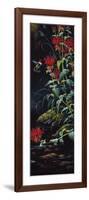 Ruby Throated Hummingbird-Wilhelm Goebel-Framed Giclee Print