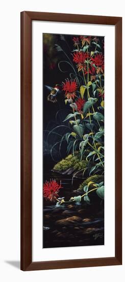 Ruby Throated Hummingbird-Wilhelm Goebel-Framed Giclee Print