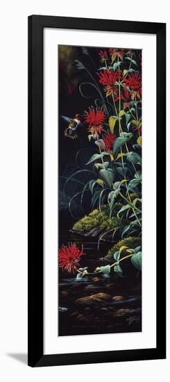 Ruby Throated Hummingbird-Wilhelm Goebel-Framed Giclee Print