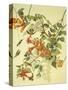 Ruby-Throated Hummingbird-John James Audubon-Stretched Canvas