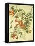 Ruby-Throated Hummingbird-John James Audubon-Framed Stretched Canvas