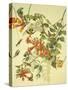 Ruby-Throated Hummingbird-John James Audubon-Stretched Canvas