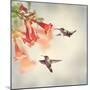 Ruby Throated Hummingbirds Hover over Trumpet Vine-Svetlana Foote-Mounted Photographic Print