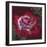 Ruby-Barbara Keith-Framed Giclee Print