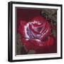 Ruby-Barbara Keith-Framed Giclee Print