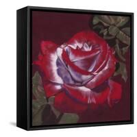 Ruby-Barbara Keith-Framed Stretched Canvas