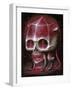 Rubyrat-Jason Limon-Framed Premium Giclee Print