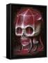 Rubyrat-Jason Limon-Framed Stretched Canvas