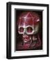 Rubyrat-Jason Limon-Framed Premium Giclee Print